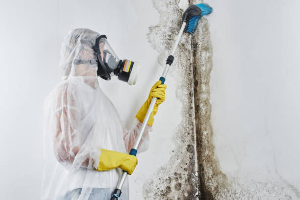 Mold Remediation for Vacation Homes in Byron, GA